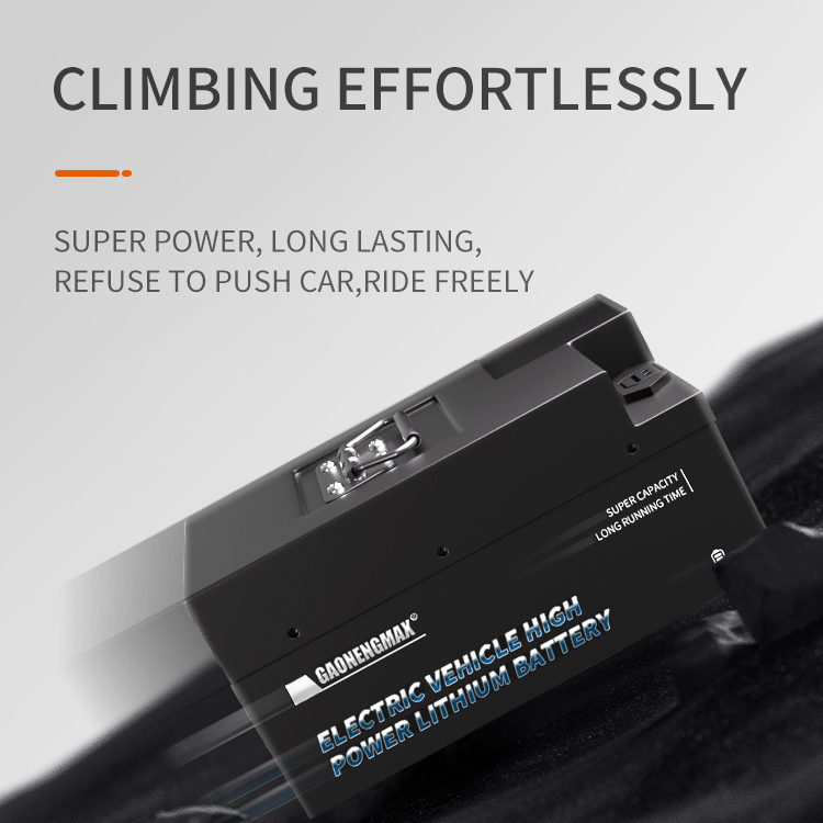 Lithium Battery GN4825